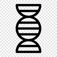 cells, DNA, enzymes, genetics icon svg