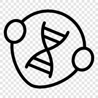 cells, genetics, evolution, ecology icon svg