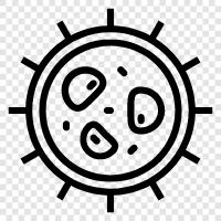 cells, cancer, cancer cells, cancer research icon svg