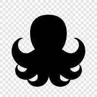 cephalopod, mollusk, aquatic, squirre icon svg