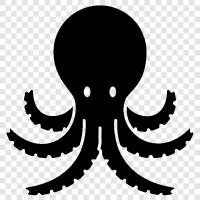 Kopffüßer, Weichtiere, Octopus symbol