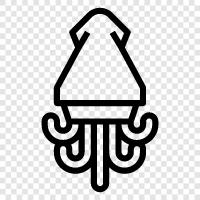 cephalopod, mollusk, Octopus icon svg