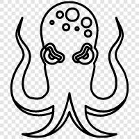 cephalopods, ocean, mollusks, cep icon svg