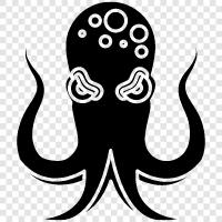 cephalopods, mollusks, ocean, creature icon svg