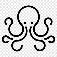 cephalopods, intelligence, cephalopod intelligence, Octopus icon svg