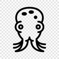 sefalopodlar, yumuşakçalar, deniz, oktopus ikon svg