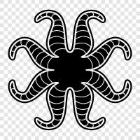 Kopffüßer, Tintenfische, Octopus symbol