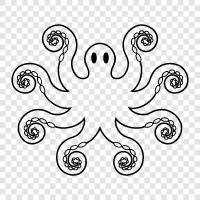 cephalopods, mollusks, invertebrates, Octopus icon svg
