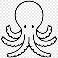 Cephalopods, tentacles, ink, intelligence icon svg