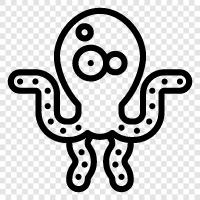 cephalopods, mollusks, intelligence, learning icon svg