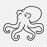 cephalopods, intelligence, memory, learning icon svg