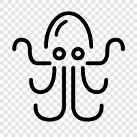 cephalopods, invertebrates, cephalopod, Octopus icon svg