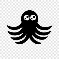 cephalopods, molluscs, invertebrates, Octopus icon svg