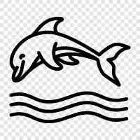 cetacean, marine mammal, aquatic, saltwater icon svg