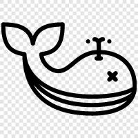 Cetacean symbol