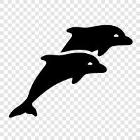 cetaceans, marine mammals, ocean, sea icon svg