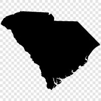 Charleston, Columbia, The Lowcountry, The Palmetto State symbol