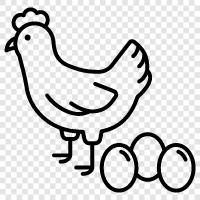 chicken and egg, chicken and egg production, chicken and eggs icon svg