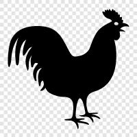 chicken, farm, eggs, chicken feed icon svg