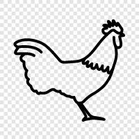 chicken, farm, eggs, farming icon svg