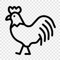 chicken, farm, agriculture, chicken farming icon svg