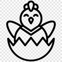 chicken, bird, fowl, hen icon svg