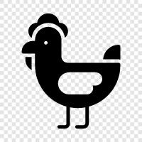 chicken, eggs, poultry, meat icon svg