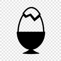 chicken eggs, duck eggs, goose eggs, hatching eggs icon svg