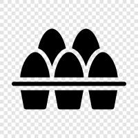 chicken eggs, duck eggs, goose eggs, quail eggs icon svg