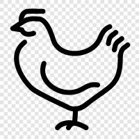 chicken, duck, turkey, goose icon svg