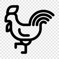 chicken, farm, eggs, farmer icon svg