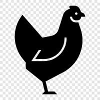 chicken, eggs, farm, farmhouse icon svg