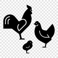 chicken, turkey, duck, geese icon svg