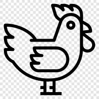 chicken farming, chicken feed, chicken houses, chicken coops icon svg