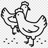 chicken houses, chicken coops, chicken farming, chicken feed icon svg