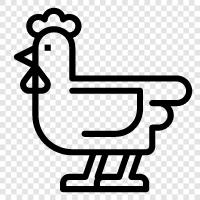 chicken, eggs, farming, coop icon svg