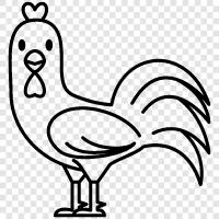 chicken, farm, egg, chicken farming icon svg