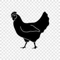 Chickenpox, Chicken feed, Chicken coop, Chicken houses icon svg