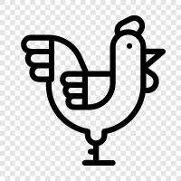 chickenpox, chicken farming, chicken breeds, chicken feed icon svg