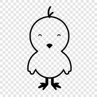 chicklet, chick magnet, chick flick, chick lit icon svg