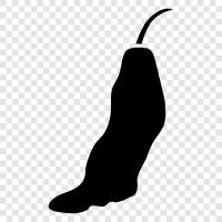 chile pepper, chilies, pepper, hot icon svg