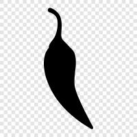 chili pepper, chili powder, chili sauce, chili beans icon svg