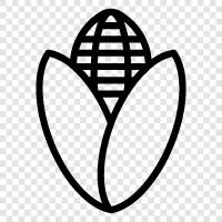 chilies, maize, agriculture, harvest icon svg