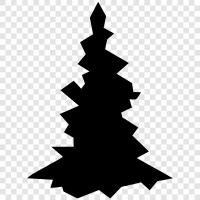 Christmas, trees, needles, cones icon svg