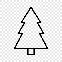 Christmas, Christmas tree, fir tree, needles icon svg