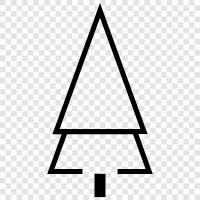 Christmas, needles, cones, Christmas tree icon svg