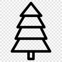 Christmas, pine, tree, needles icon svg