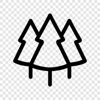 Christmas tree, needles, cones, Christmas icon svg