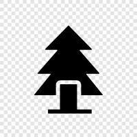 Christmas, tree, needles, cones icon svg