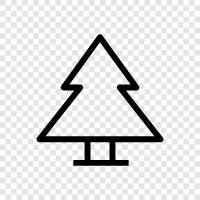 Christmas, tree, needles, Christmas tree icon svg